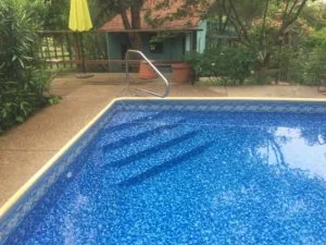 Residential swimming pool with blue tile interior and metal ladder, surrounded by wooden deck, garden greenery, and brick house with terracotta roof.