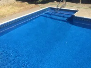 Empty backyard swimming pool with blue interior and metal ladder, surrounded by concrete deck and landscaping