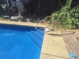 Swimming pool with metal handrail, surrounding concrete patio, and ivy-covered fence with pink flowers
