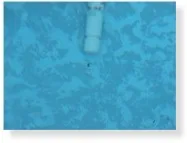 Blue pool surface with visible hole in liner