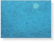 Blue pool liner surface with textured water pattern and subtle light reflection