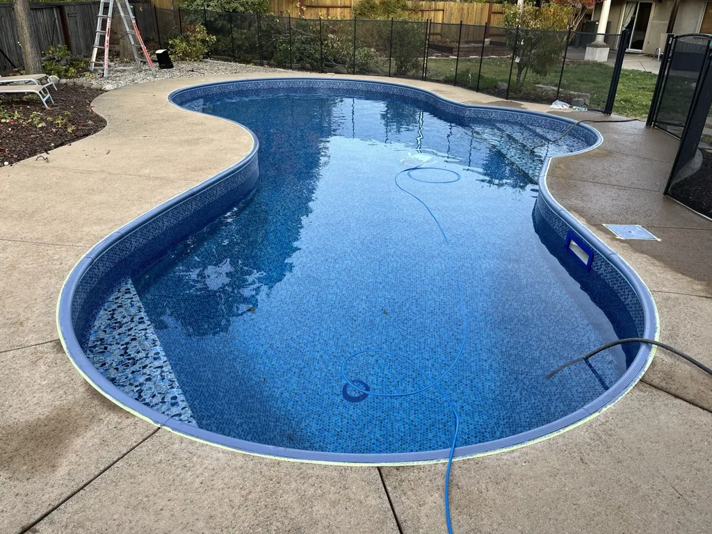 Blue tiled swimming pool with kidney-shaped design in backyard surrounded by concrete patio and fencing