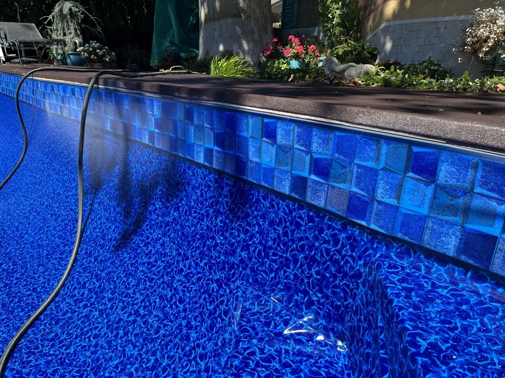 Above-ground swimming pool with blue tile interior and dark cap rail, garden with flowering plants visible in background.