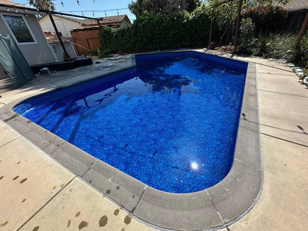 Blue rectangular swimming pool with concrete deck surrounded by residential backyard with trees and utility building