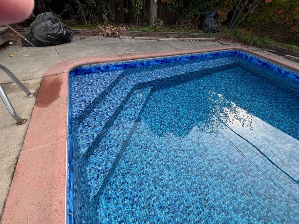 Empty swimming pool with blue tile interior and concrete deck surrounded by overgrown vegetation