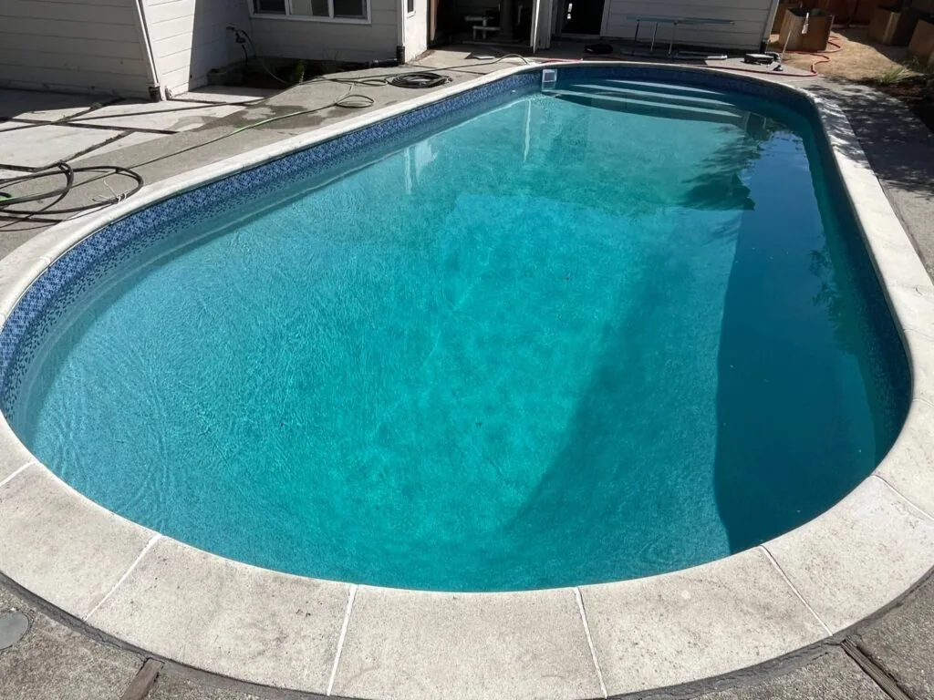 Residential backyard swimming pool with turquoise water and curved concrete deck