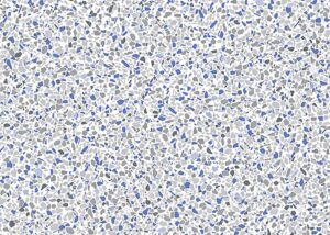 Terrazzo surface with white matrix and scattered blue, gray, and dark stone chips